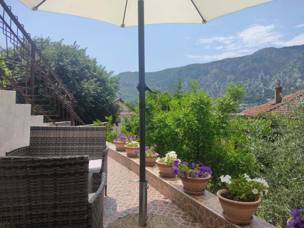 Apartments Feniks Kotor Dış mekan fotoğraf