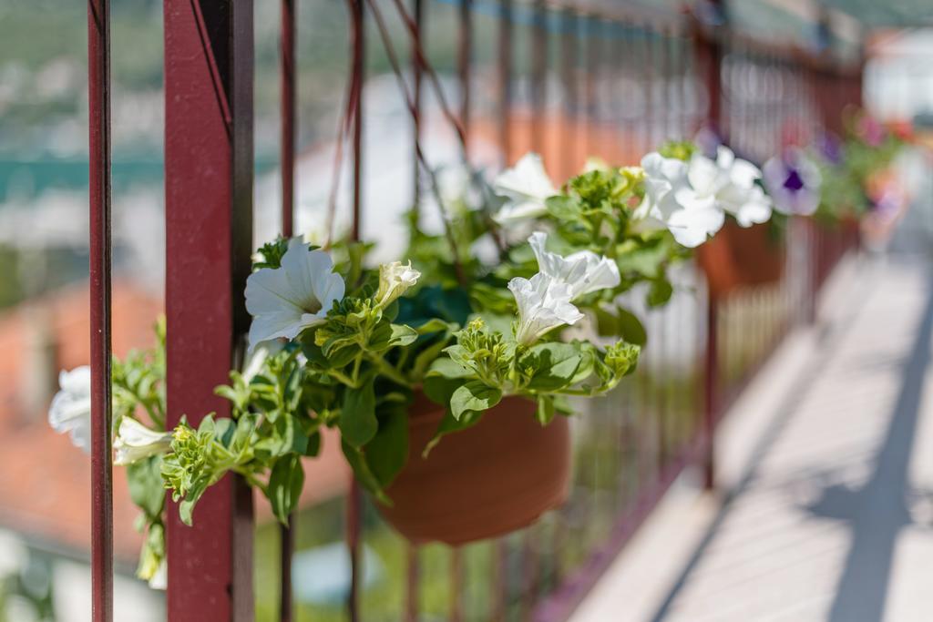Apartments Feniks Kotor Dış mekan fotoğraf